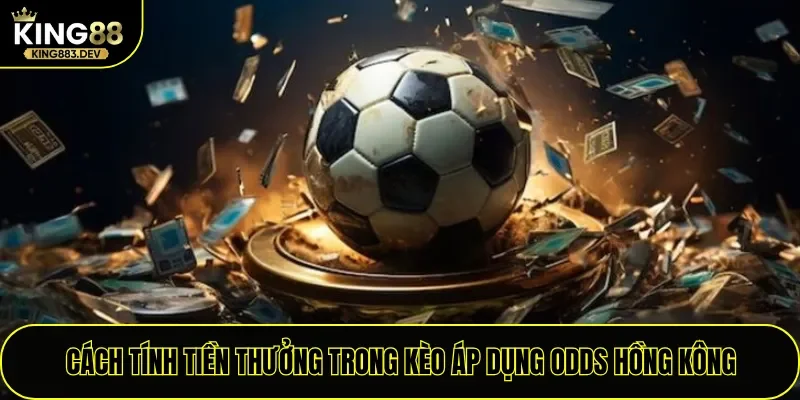 Cách tính tiền thưởng trong kèo áp dụng Odds Hồng Kông