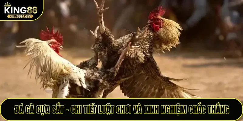 Đá Gà Cựa Sắt