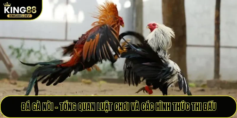 Đá Gà Nòi