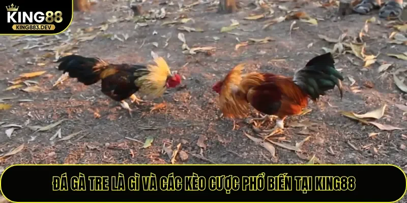 Đá Gà Tre