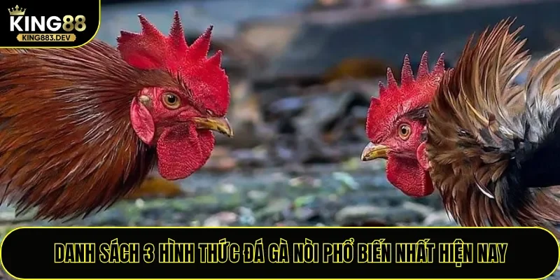 Danh sách 3 hình thức đá gà nòi phổ biến nhất hiện nay