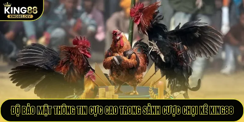Độ bảo mật thông tin cực cao trong sảnh cược chọi kê King88