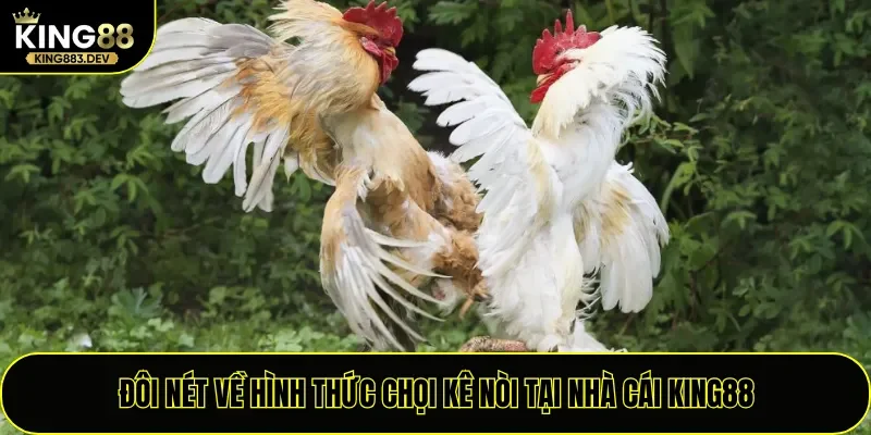 Đôi nét về hình thức chọi kê nòi tại nhà cái King88