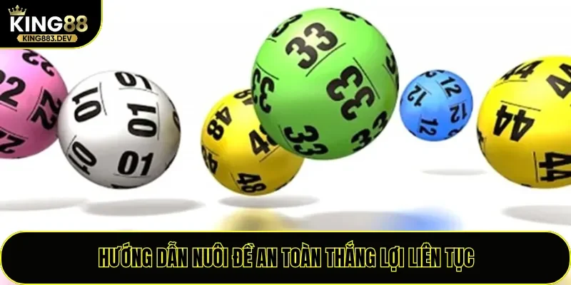 Hướng dẫn nuôi đề an toàn thắng lợi liên tục