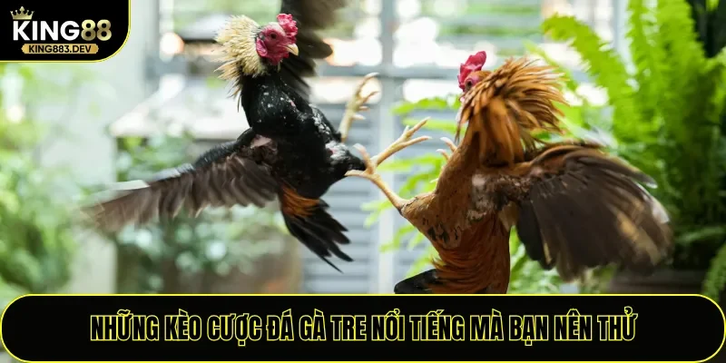Những kèo cược đá gà tre nổi tiếng mà bạn nên thử