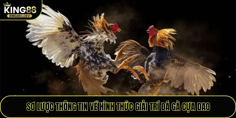 Sơ lược thông tin về hình thức giải trí đá gà cựa dao