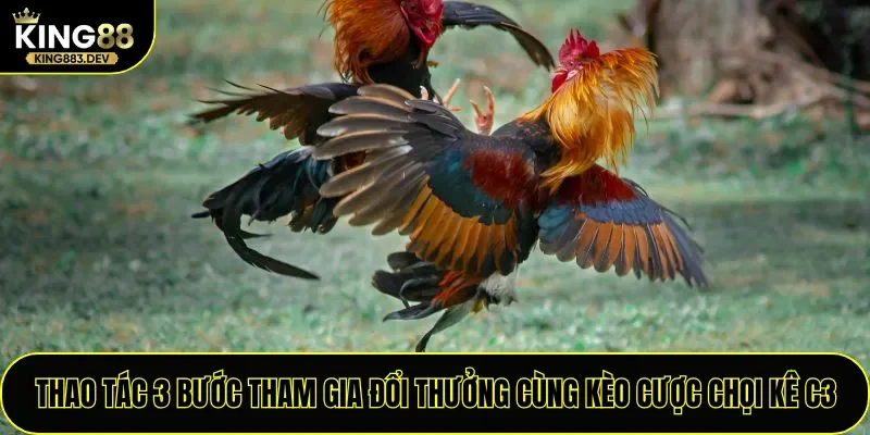 Thao tác 3 bước tham gia đổi thưởng cùng kèo cược chọi kê C3