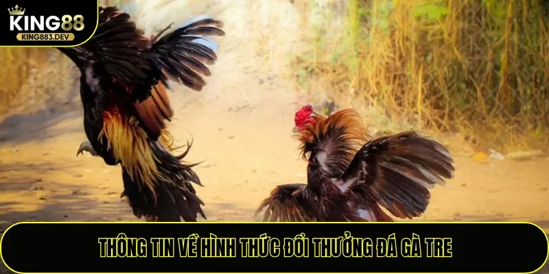 Thông tin về hình thức đổi thưởng đá gà tre