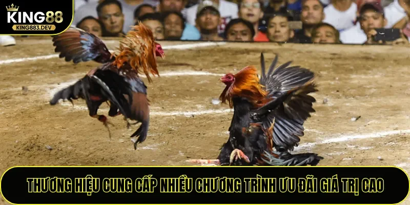 Thương hiệu cung cấp nhiều chương trình ưu đãi giá trị cao