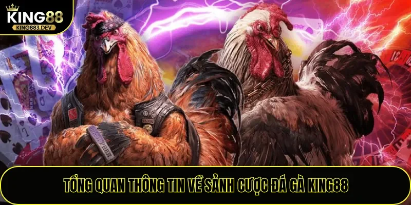 Tổng quan thông tin về sảnh cược đá gà King88